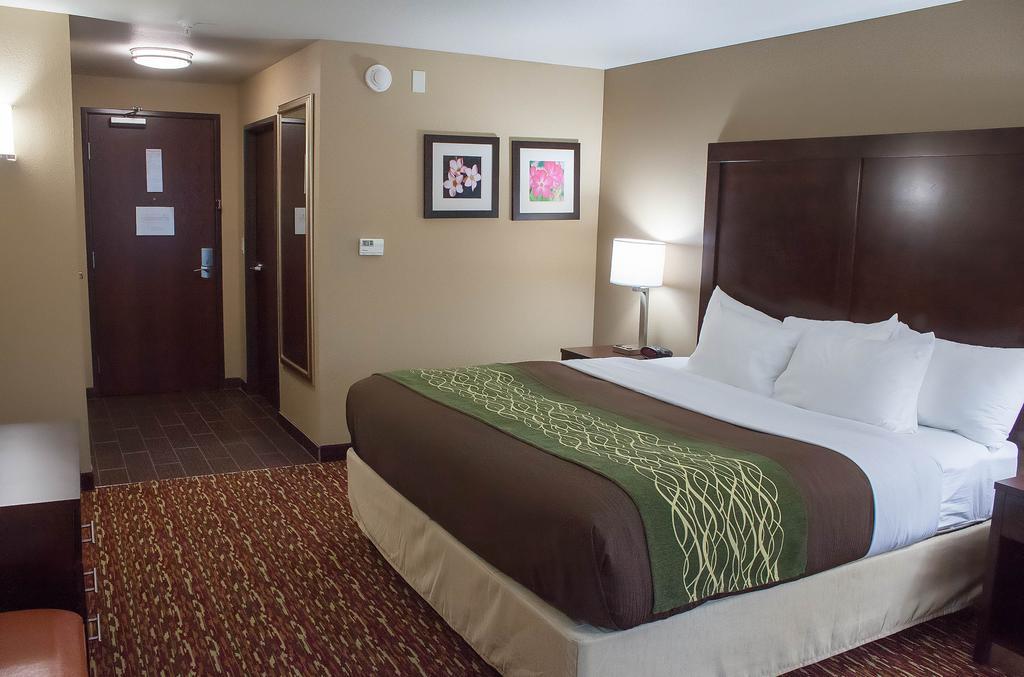Comfort Inn & Suites Artesia Room photo